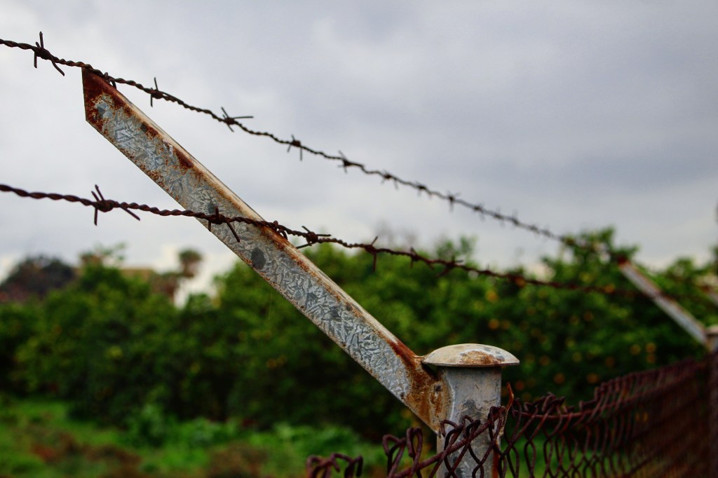 Escribir (desde) la verdad